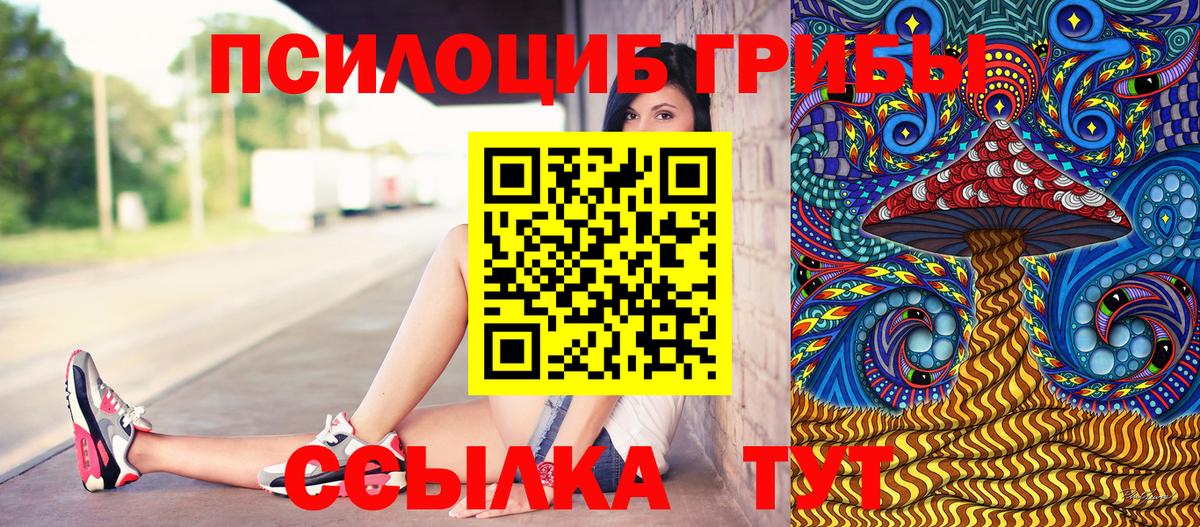 Галлюциногенные грибы Psilocybine cubensis Углич