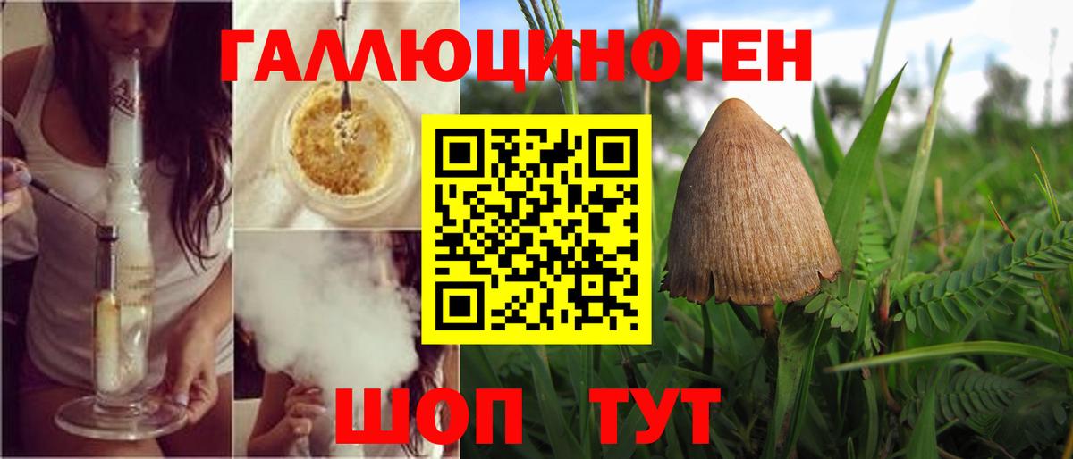 Углич  Галлюциногенные грибы Psilocybine cubensis  Вход с VPN 